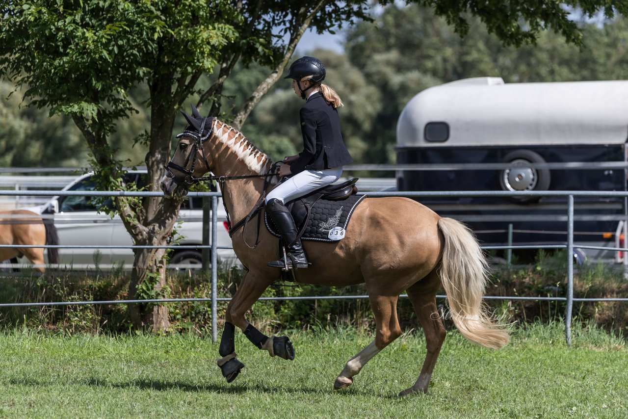 Bild 190 - Pony Akademie Turnier